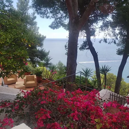 Nsm Carlotta & Guarda Che Mare Con Piscine Vista Mare Pugnochiuso