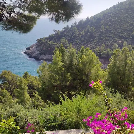 Nsm Carlotta E Guarda Che Mare Con Vista Panoramica * Pugnochiuso