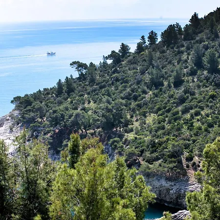 Nsm Carlotta & Guarda Che Mare Con Piscine Vista Mare