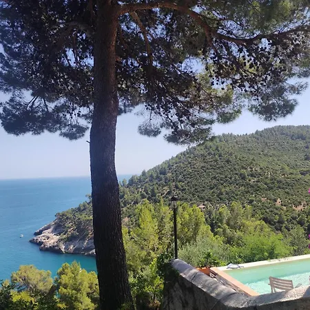 Villa Nsm Carlotta & Guarda Che Mare Con Piscine Vista Mare Pugnochiuso