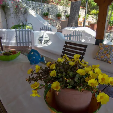 Nsm Carlotta & Guarda Che Mare Con Piscine Vista Mare Villa *
