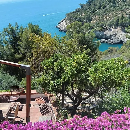 Nsm Carlotta E Guarda Che Mare Con Vista Panoramica * Pugnochiuso